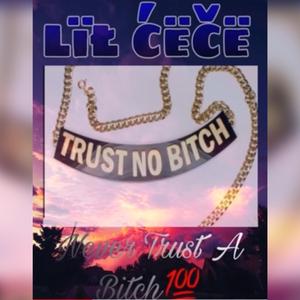 Never Trust A Bitch