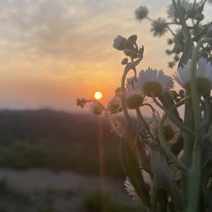 音WeiYouNi-最炫名族风（Melbourne Mix）（音WeiYouNi remix）