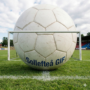 Sollefteå GIF