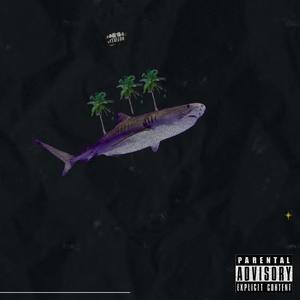 MIAMI FW Z'S (feat. Sharc)