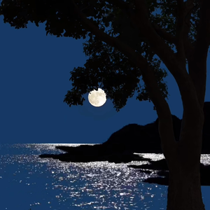 Moon