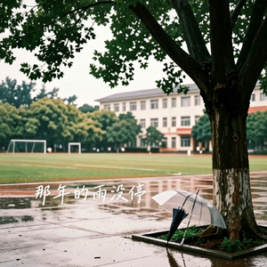那年的雨没停