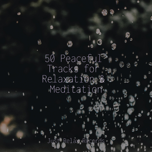 Melodic Anomaly Ensemble