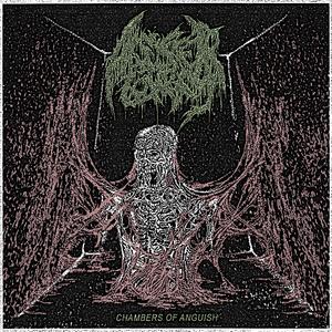 MACERATED IN SEWAGE (feat. 10 TO THE CHEST)