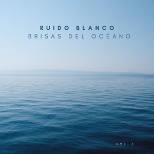 Estudio Del Ruido Blanco