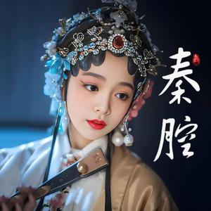 秦腔（兴汉图）潼关 唢呐