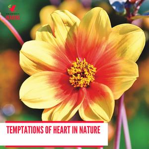 Baleful Trees Creaking