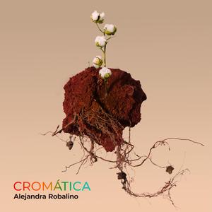 Capishca de los Libros