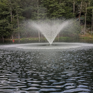 I Have a Vision (Cinematic Rock‑Rap Version)