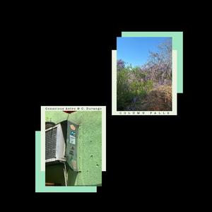 COLUMNS FALL (feat. C. Durango)