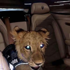 Person（Be A Good Person）