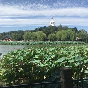 落在她睫毛上的雪