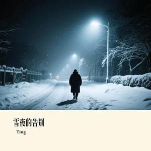 雪夜的告别