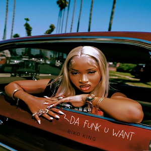 Da Funk U Want