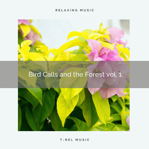 Smile, Reach Inner Peace Nature Noises for Total Recharge pt. 2