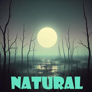 Natural Enemy (Interlude)