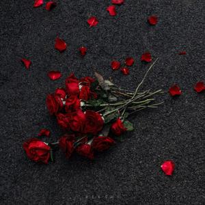 6월의 마지막 밤