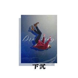 下沉（Feat.何羽阁）