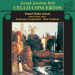Cello Concerto No. 1 in D Major, Op. 193:I. Allegro