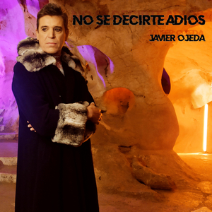 No Sé Decirte Adiós