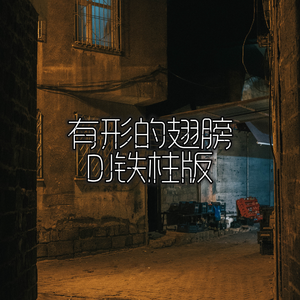 有形的翅膀（DJ铁柱版）