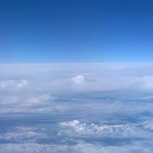 The Gentle Spirit Of The Displaced