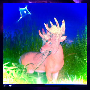 Sinto um Frio no Meu Peito