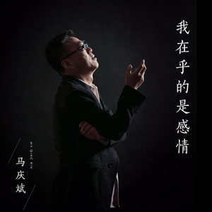 我在乎的是感情