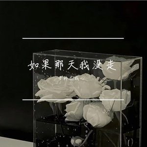 如果那天我没走