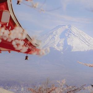 撒野