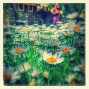 Ubha Thakla Trishul Gheun | New Boasted Song