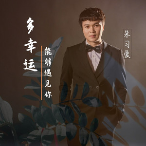多幸运能够遇见你 (Live)