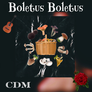 Boletus Boletus (En Vivo)