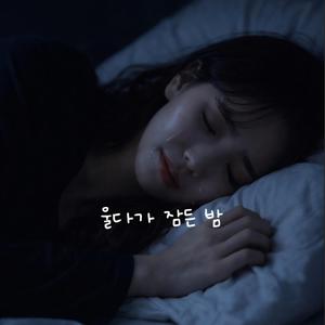 울다가 잠든 밤