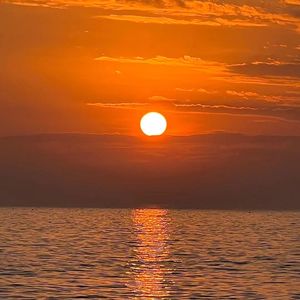 六月你好（拥抱夏天）