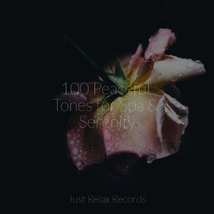 Echoes of Lost Wishes