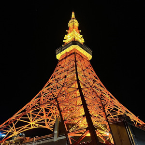 捨てきれないよ