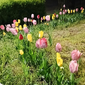 ただいま