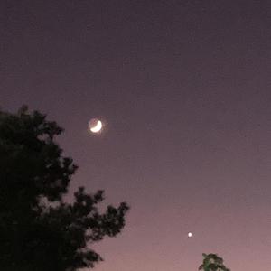 想不到歌名（demo）