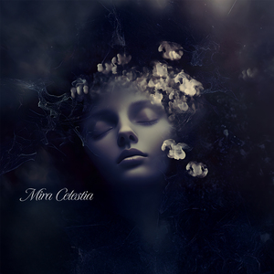 Dreamcodes from Lyra