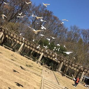 春风十里（翻自 鹿先森乐队）（Cover ）