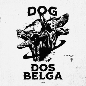 Dog dos Belga