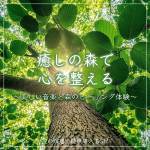 カフェで聞き流したい、勉強がはかどる作業用BGM (雨)