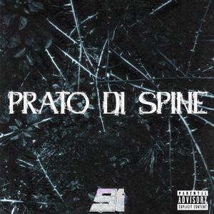 Prato di Spine