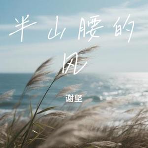 半山腰的风