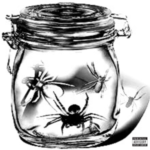 Банка с пауками
