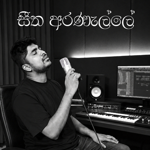 Seetha Aranalle Instrumental