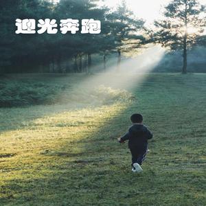 玫瑰的婚礼（钢琴版）