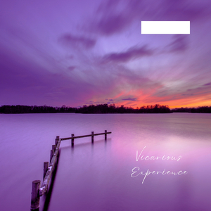 Vicarious Experience