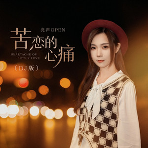 苦恋的心痛 (DJ浩然版伴奏)
